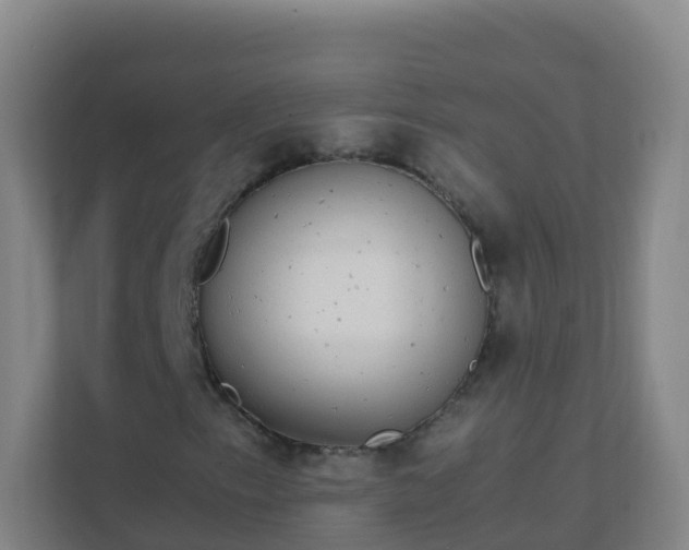 X0000111651153200907241125