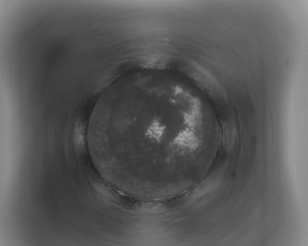 X0000111651154200907241125
