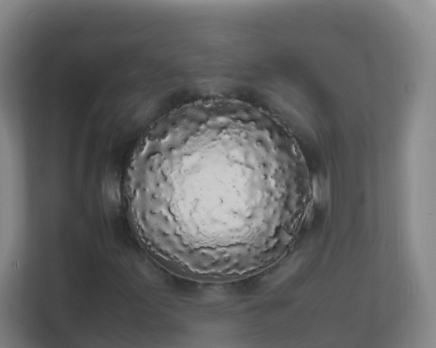 X0000111651155200907241125