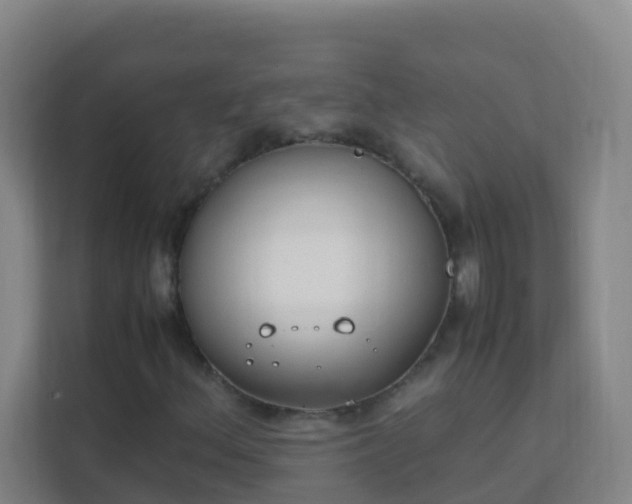 X0000111651156200907241125