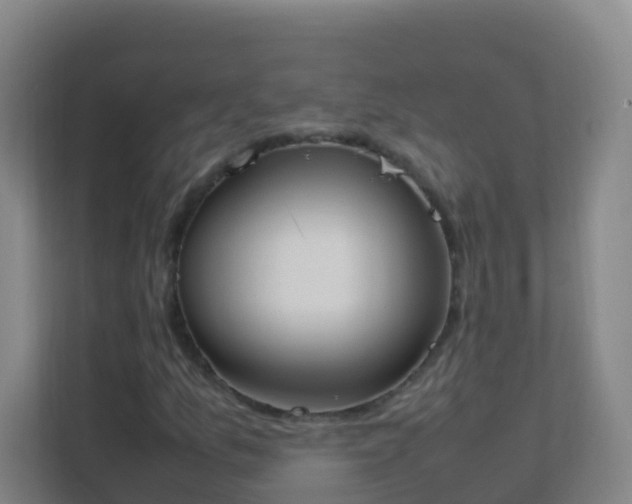 X0000111651157200907241125