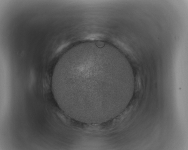 X0000111651158200907241125