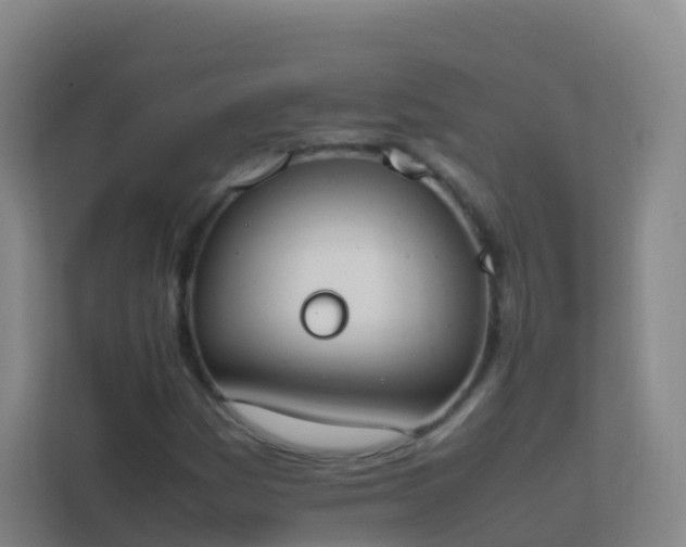 X0000111651161200907241125