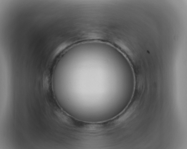 X0000111651163200907241125