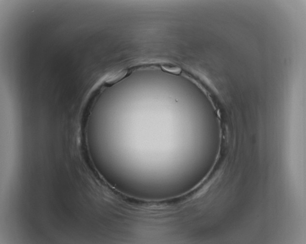 X0000111651165200907241125