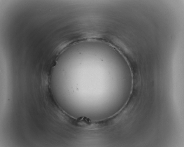 X0000111651169200907241125
