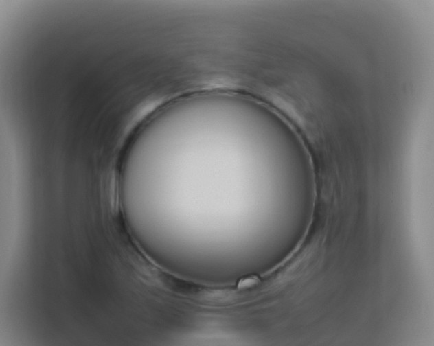 X0000111651171200907241125