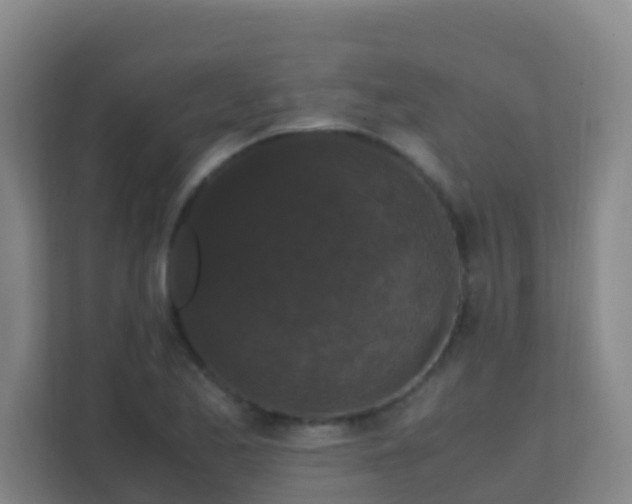 X0000111651173200907241125