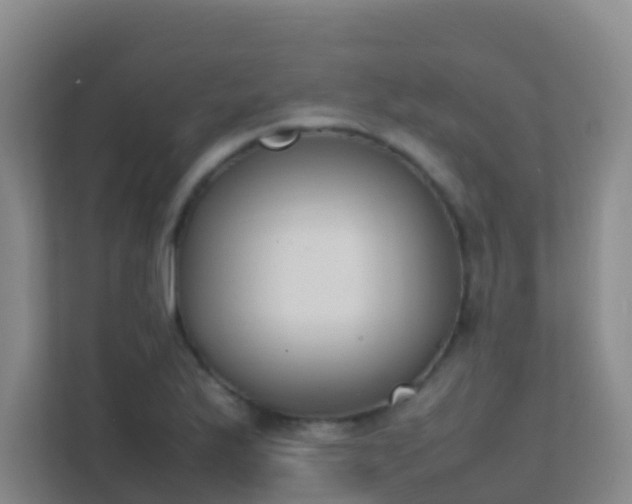 X0000111651175200907241125