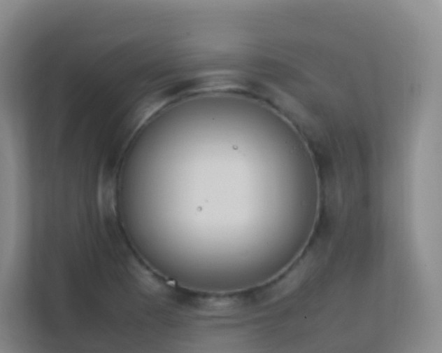 X0000111651177200907241125