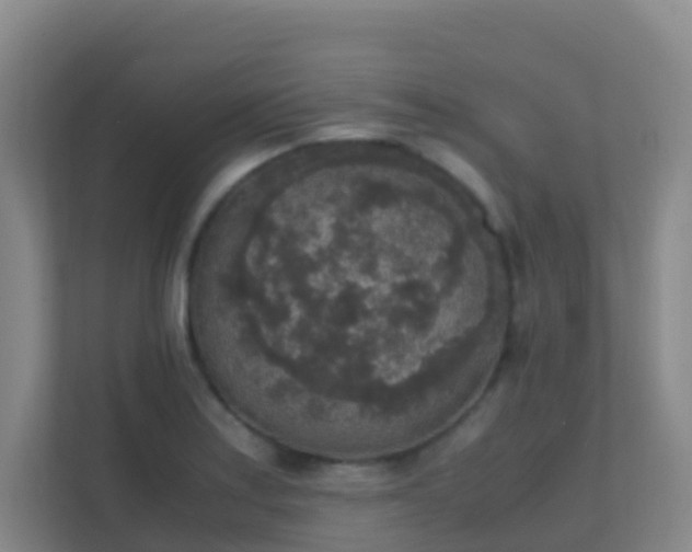 X0000111651179200907241125