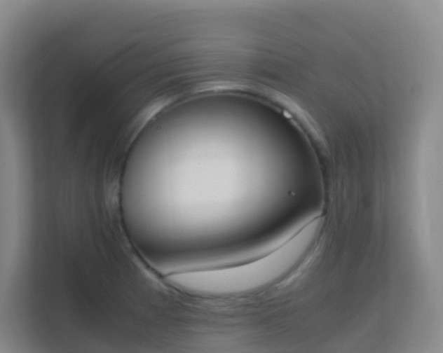 X0000111651185200907241125