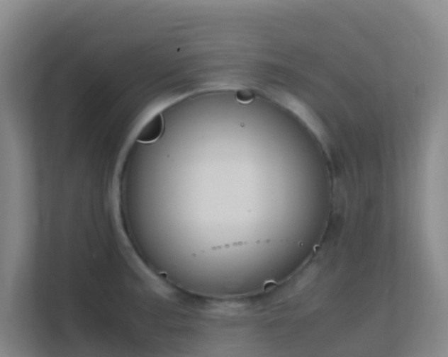 X0000111651187200907241125