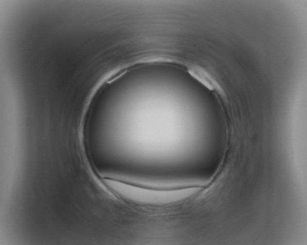 X0000111651189200907241125