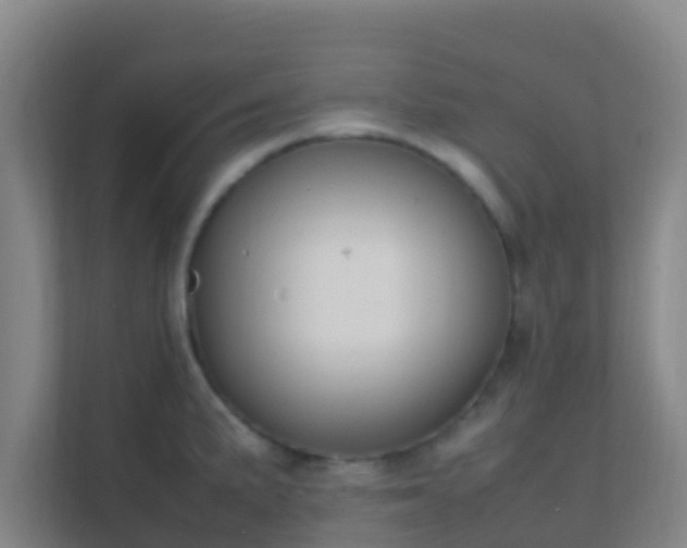 X0000111651191200907241125