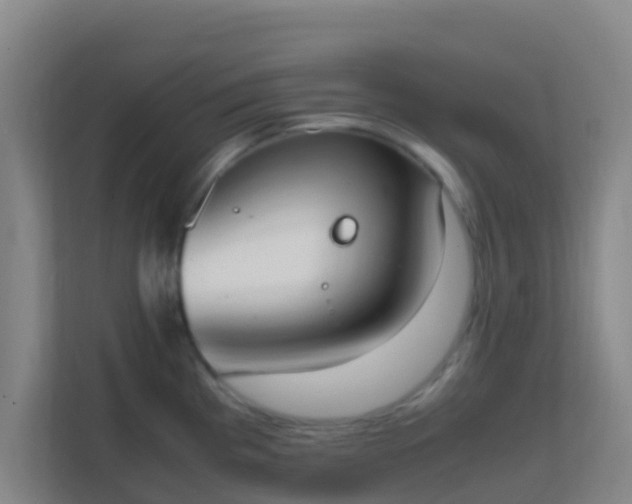 X0000111651193200907241125