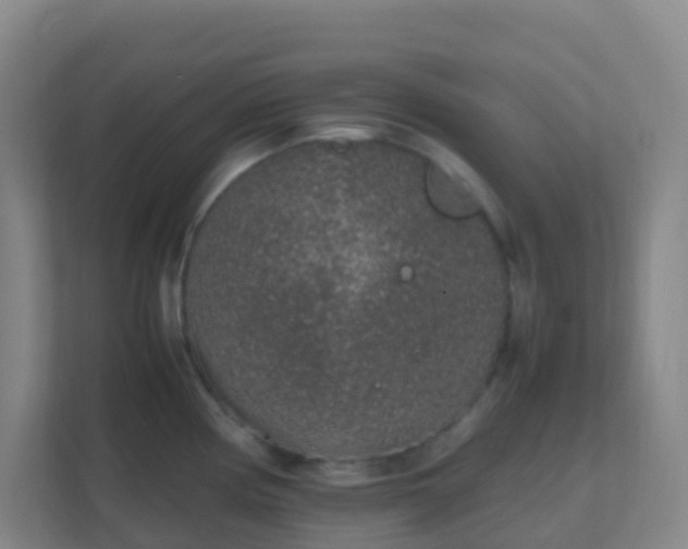 X0000111651194200907241125