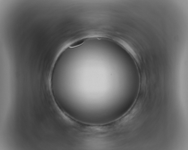 X0000111651197200907241125