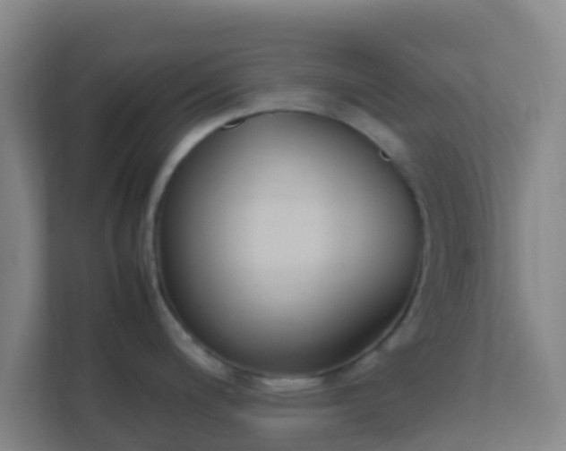X0000111651200200907241125