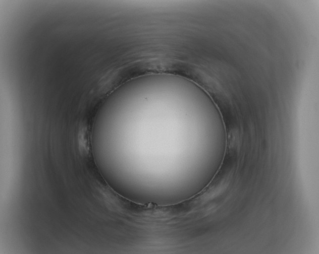 X0000111651202200907241124