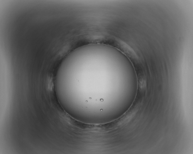 X0000111651204200907241124