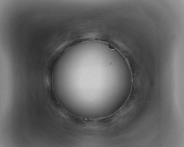 X0000111651206200907241124