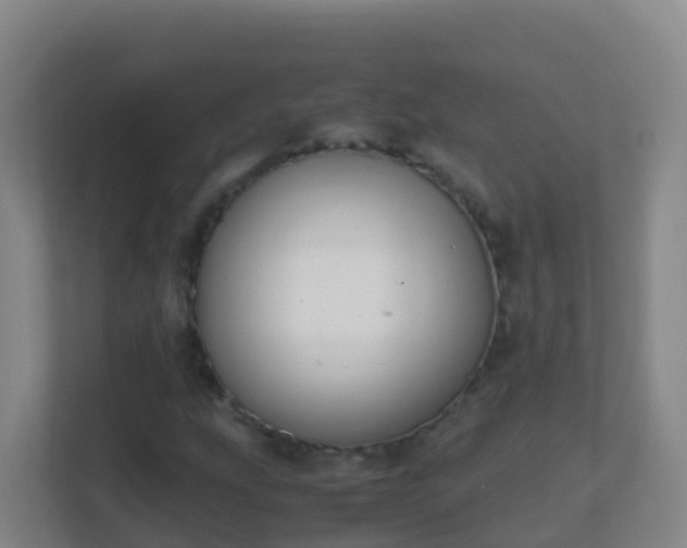X0000111651207200907241124