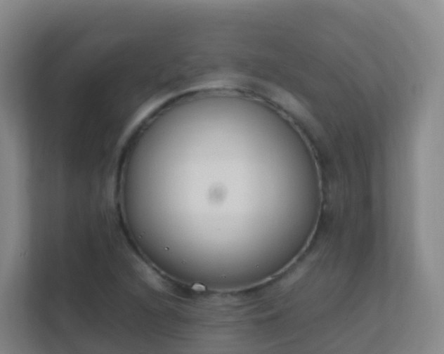 X0000111651216200907241124