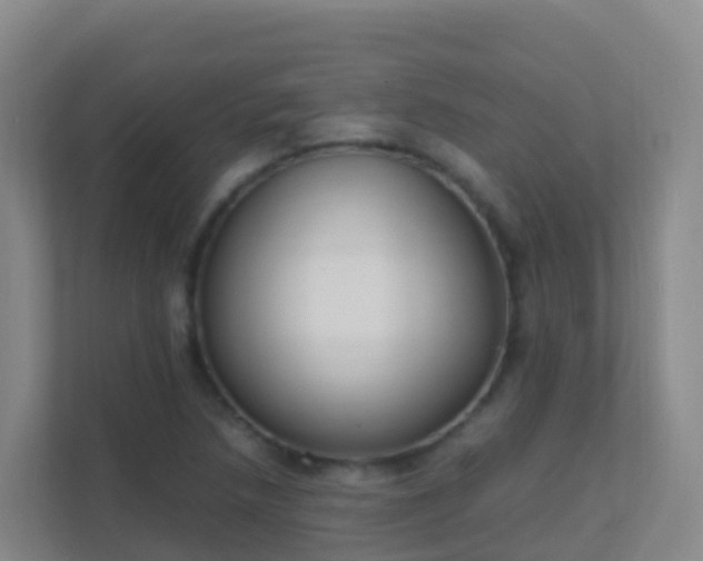 X0000111651218200907241124