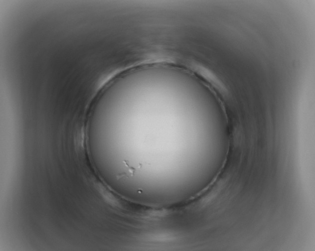 X0000111651220200907241124