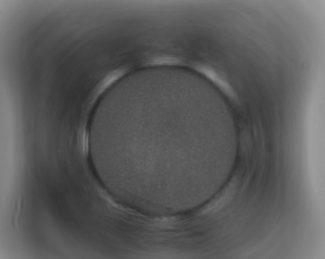 X0000111651221200907241125
