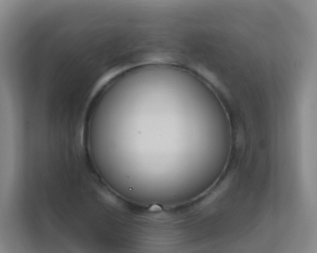 X0000111651222200907241125