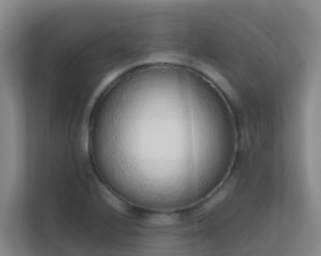 X0000111651224200907241125