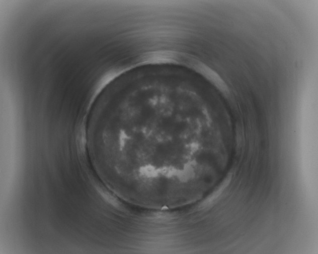 X0000111651226200907241125