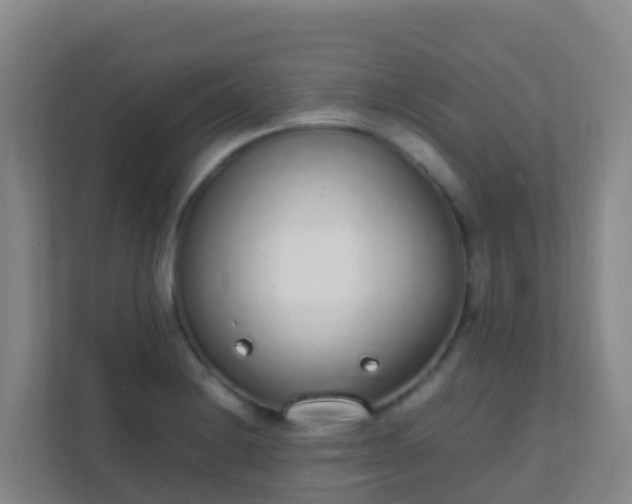 X0000111651228200907241125