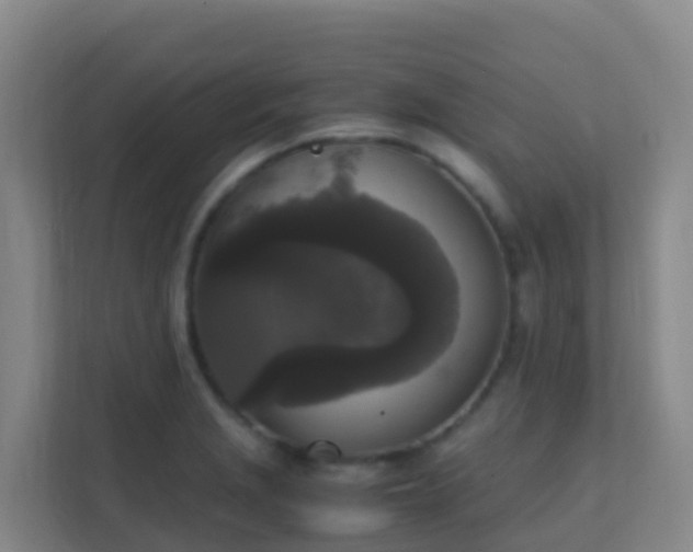 X0000111651229200907241125