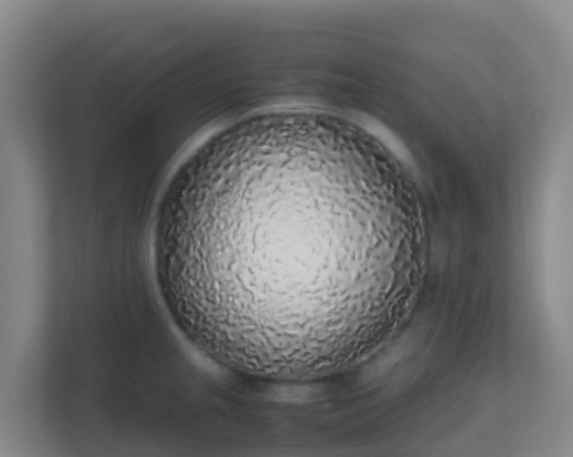 X0000111651237200907241125