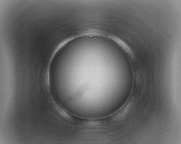 X0000111651238200907241125