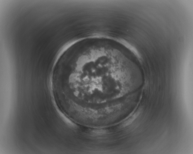 X0000111651239200907241125