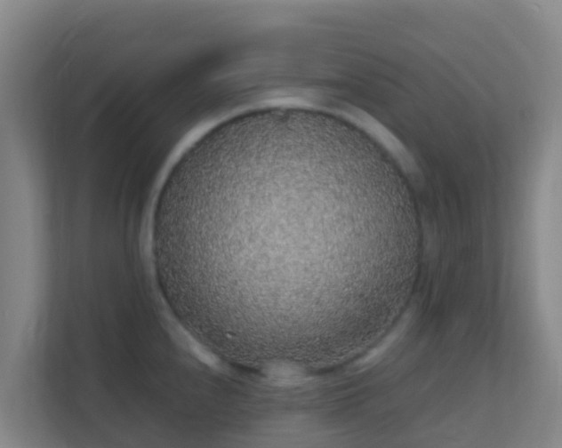 X0000111651240200907241125