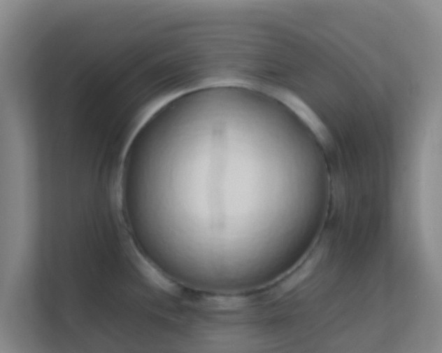 X0000111651244200907241125