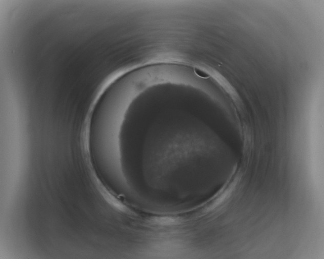 X0000111651246200907241125