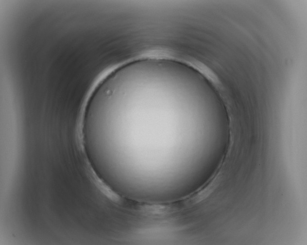 X0000111651248200907241125