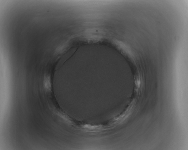 X0000111651252200907241124