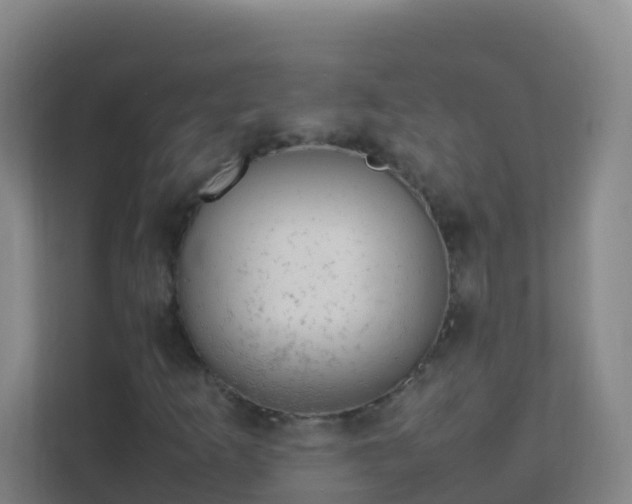 X0000111651253200907241124