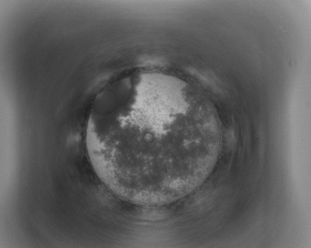 X0000111651254200907241124