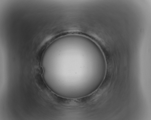 X0000111651255200907241124