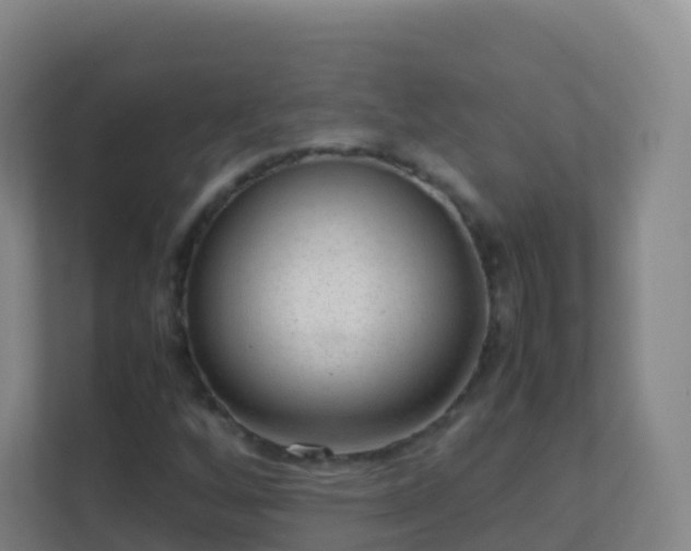 X0000111651256200907241124