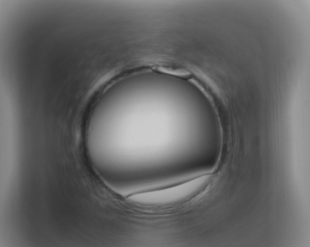 X0000111651261200907241124
