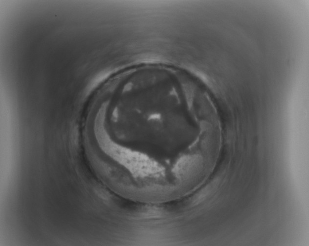 X0000111651263200907241124